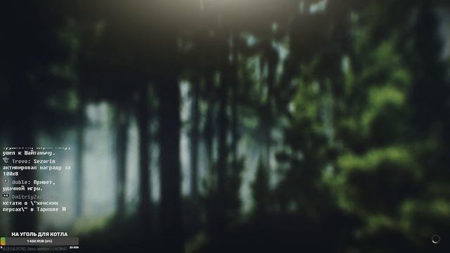 Escape From Tarkov | ВААЙП, ПАТЧ  0.13.5. | Https://vkplay.live/anya_tryams | День 3