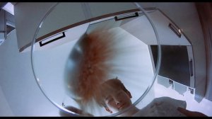 вирус начало истории 2023