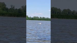 Кораблик для рыбалки с самосбросом (шторка) и GPS автопилотом TWIN