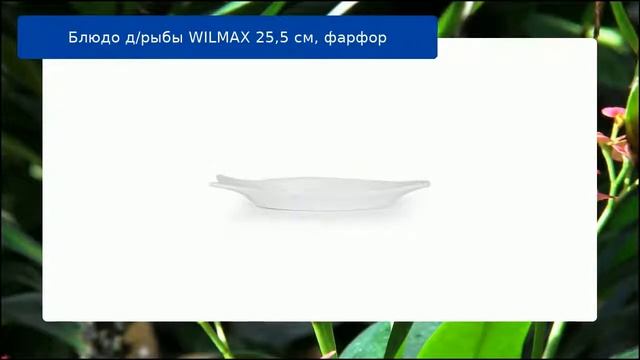 Блюдо д/рыбы WILMAX 25,5 см, фарфор обзор смотреть онлайн