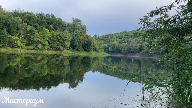 Самые ВЕЗУЧИЕ Знаки Зодиака. смотреть онлайн
