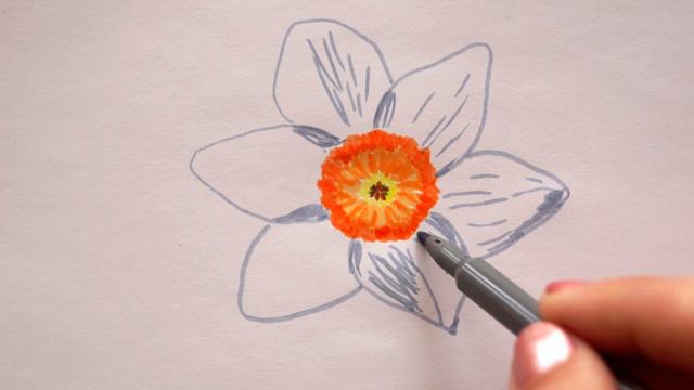🏵 Narzissen Zeichnen - Osterglocken Malen - How To Draw Daffodils Flowers - как нарисовать нарцисс