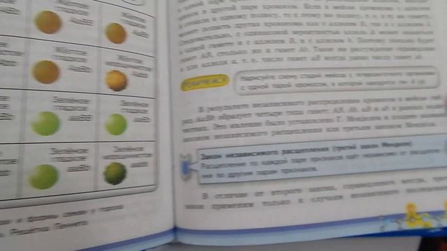 Дигибридное скрещивание (+разбор задачи). Урок - 10 класс. Баштанник Н.Е. смотреть онлайн