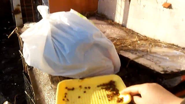 Все течет. Очень много воды. Видел только Черепашку смотреть онлайн