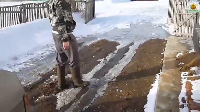 Наша жизнь\бесплатный хлеб\сосульки\ретро-шкаф\причёски\манты-розы\учим уроки с песней смотреть онлайн