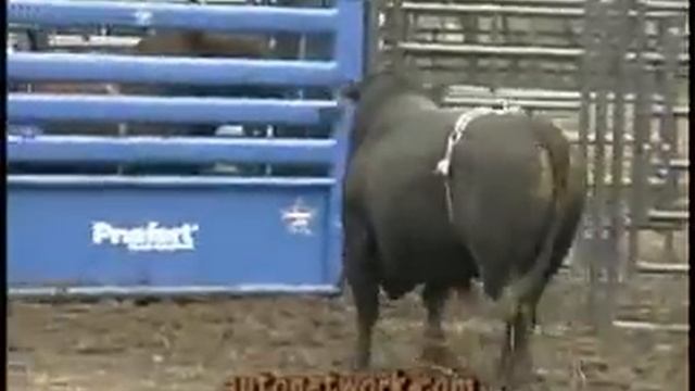 2008 Ford F-Series Super Duty Pickups, Bull Ride. смотреть онлайн