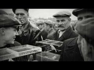 Лесоповал ( Птичий рынок )