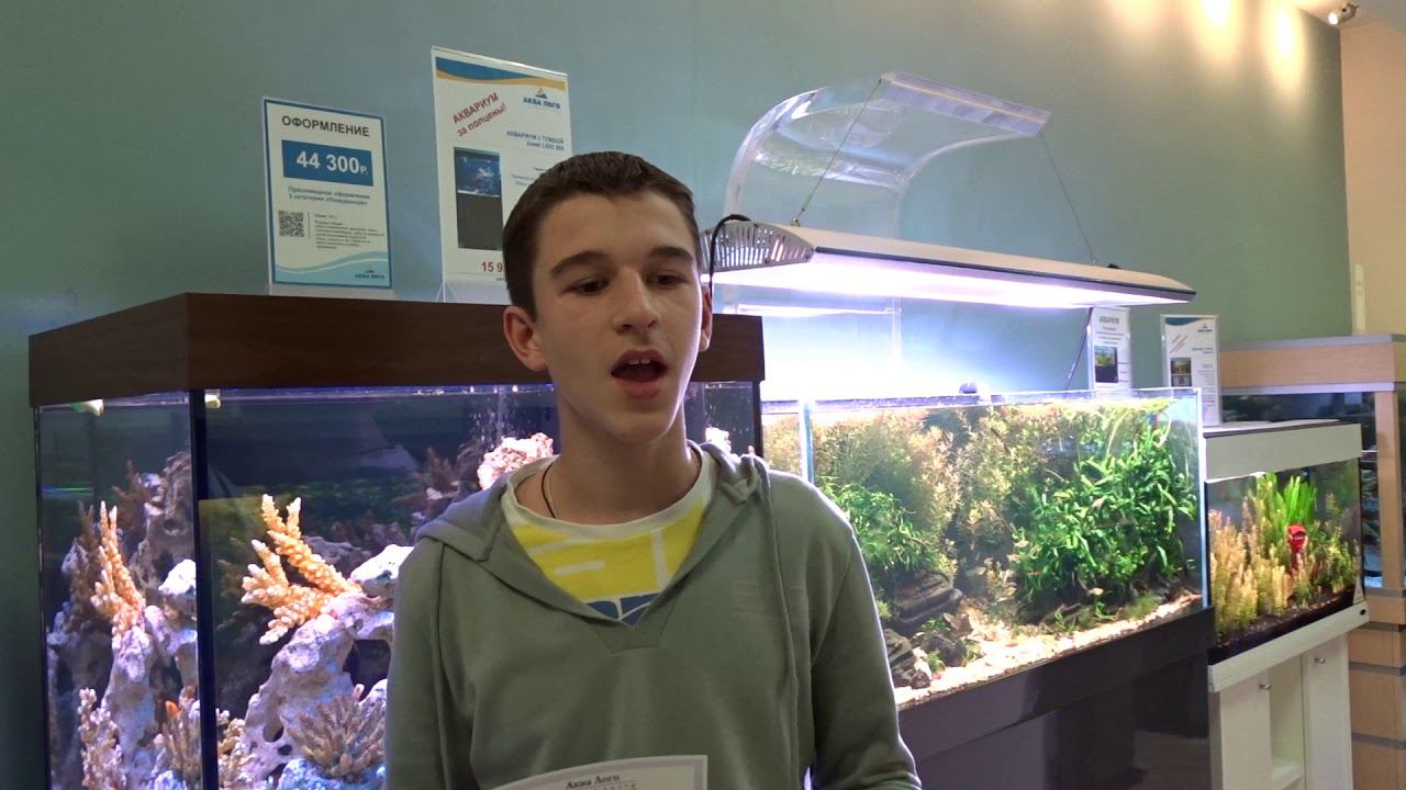 Отзыв участника мастер-класса по запуску #морского аквариума смотреть онлайн