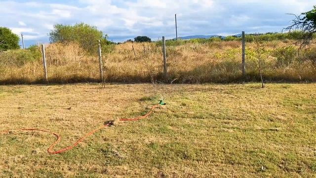 Как мы делали полив. У Масика свой личный бассейн!