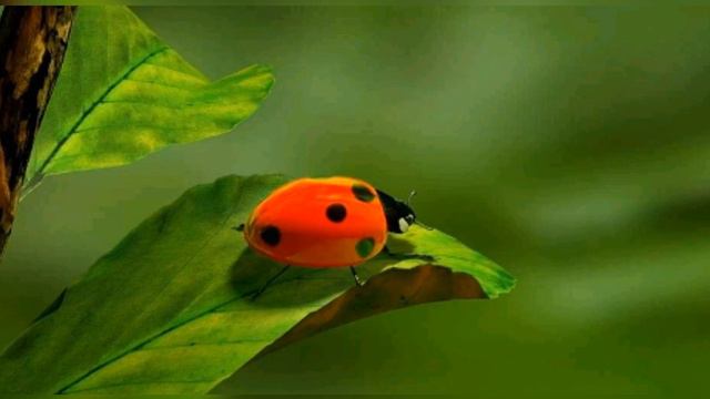 музыка которые нужно послушать обязательно в своей жизни смотреть онлайн