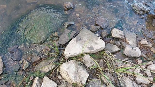 ужик смотреть онлайн