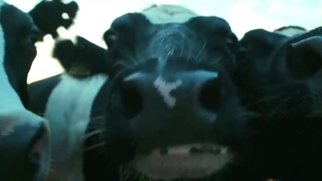 СЕРГЕЙ ШАХИН - РОССИЯ ЭТО Я! смотреть онлайн