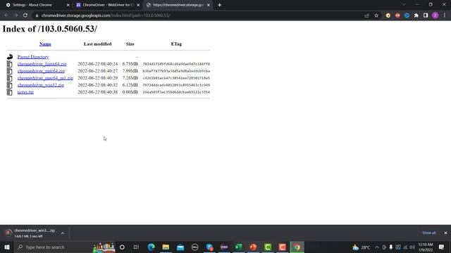 Selenium WebDriver with Java Tutorial 5 - How to fix | Org.openqa.seleniumSessionNotCreatedExceptio смотреть онлайн