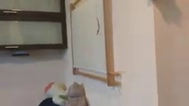 Интерьер в квартире 35 м^2. Часть 1 смотреть онлайн