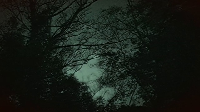 Fred Frith Trio - The Origin Of Marvels. The Sleep Of Reason. Yard With Lunatics