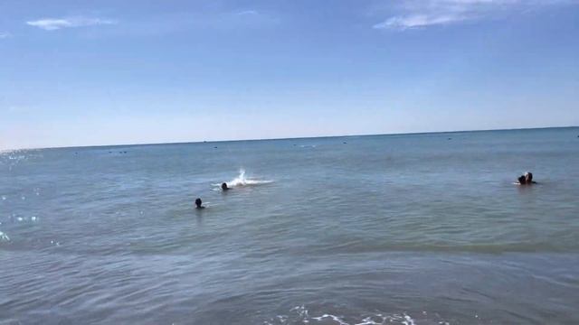 Обзор пляжа курорта Белек. Район Кадрия. Туры в Турцию. Сайт с ценами - летимотдыхать.рф смотреть онлайн