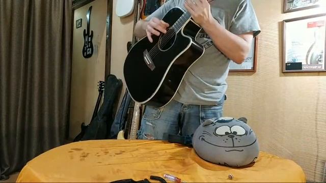 Takamine после ремонта DEmelyanov