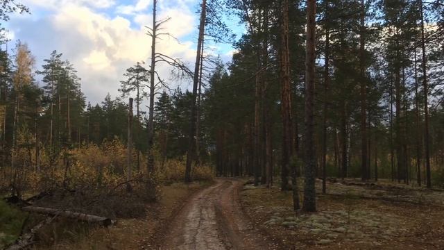 ВелоНиНо 2018 смотреть онлайн