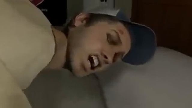 Shrek Is Love Shrek Is Life #1