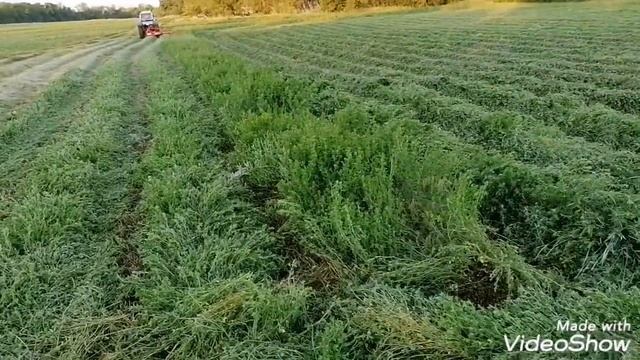ЗАГОТАВЛИВАЕМ СЕНО!!!! смотреть онлайн