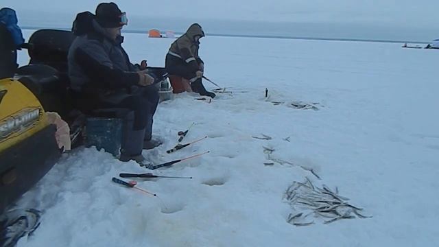 За корюшкой остров Мудьюг,Сухое море смотреть онлайн