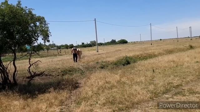 Муж с граблями послал меня? я простоидеалженшины?? смотреть онлайн