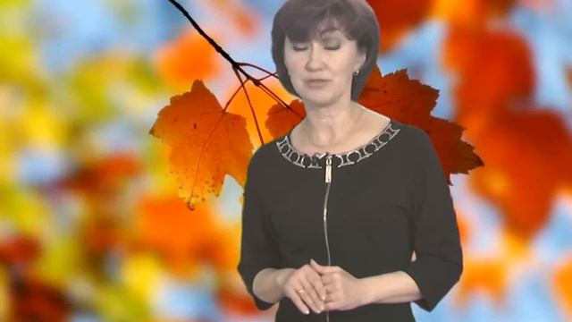 Погода от ТК "Переславль" смотреть онлайн