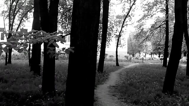 Lenovo P770 Тест камеры: Лес Черно-Белый (Специально для Heplix.ru) смотреть онлайн