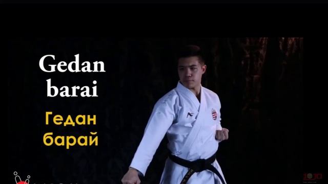 Базовые техники Кихон // ЗОЖ // ЦДТ "Ново-Переделкино" смотреть онлайн