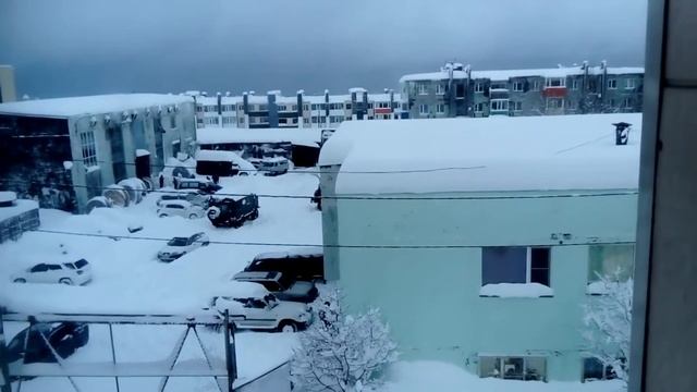 Немагия ответила Борщу! Кемеровские петушки.