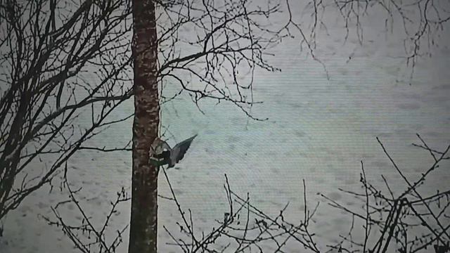 Голод не тетка смотреть онлайн