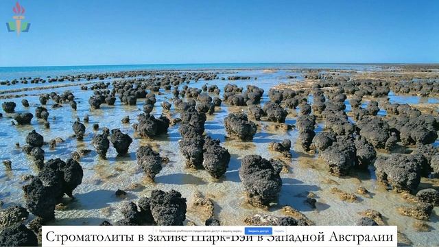 История Земли смотреть онлайн