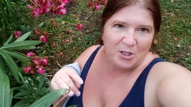 Иду по берегу моря.Обзор отеля "Амра"SPA.Гагра. смотреть онлайн