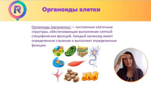 Строение клетки. Органоиды. Часть 2 смотреть онлайн