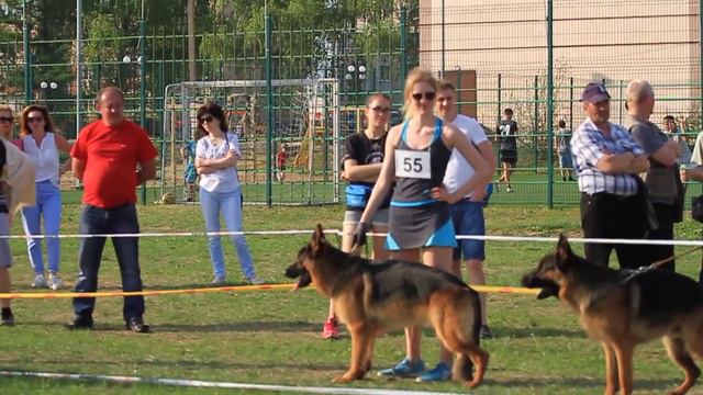 ПК Казань 11.05.2019. Молодые кобели смотреть онлайн