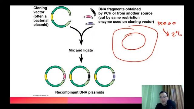 Биотехнологии (часть 1/3) смотреть онлайн