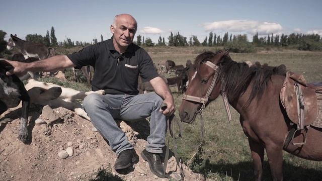 Эко-Ферма в Грузии или Как Выращивать Ослов? смотреть онлайн