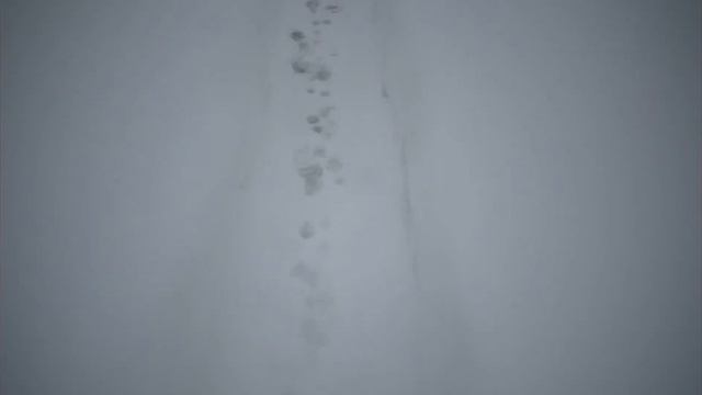 Достояние Вологодской земли.Кирилловский р-н.Нило-Сорская пустынь. смотреть онлайн