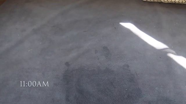 THE WEIRDEST PRODUCT REVIEW || REUSABLE PEE PEE PAD || AMAZON PRODUCT REVIEW - JACKELYN SHULTZ смотреть онлайн