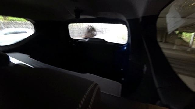 Dacia Jogger взяли покататься