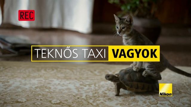 Friendly™ • Nikon „I am Coolpix S3100” TVC смотреть онлайн
