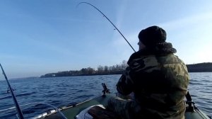 КАК ПОЙМАТЬ СУДАКА НА ДРОП-ШОТ!