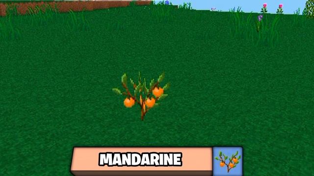? • BEACONS, PANDAS, PENGUINS, NEW DOGS AND SCARFS! @XREALM ? #MultiCraft смотреть онлайн