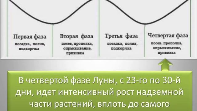 Лунный календарь садовода - огородника. Почему Лунный календарь важен для растений? смотреть онлайн