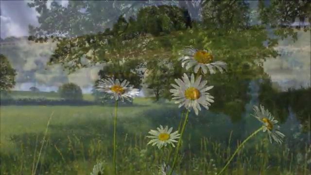 Возвращение к Богу. Обретите себя. Практика.