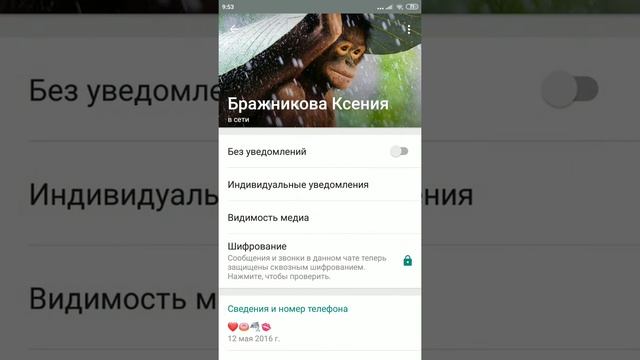Как отключить автосохранение медиафайлы из чатов в мессенджерах смотреть онлайн