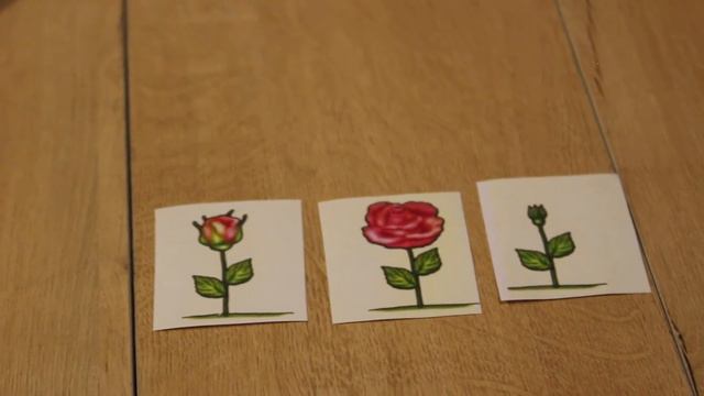 Дидактическая игра "Что сначала, что потом?" смотреть онлайн