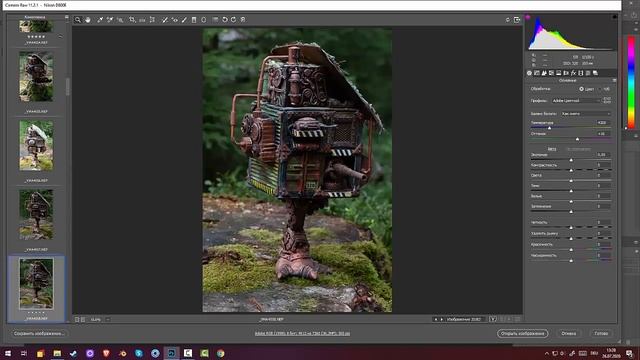 91.Garden Photography. Домик бабы яги в стиле стимпанк