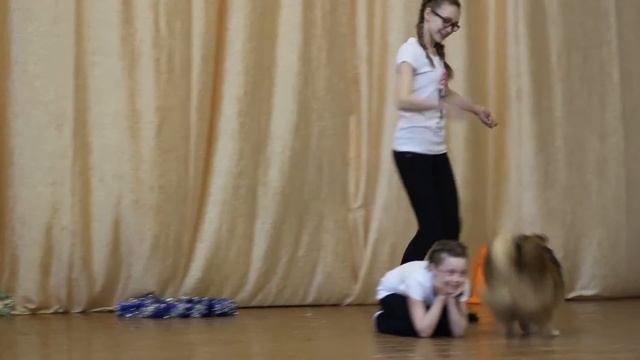 VLOG: "Цирковой артист"/22 марта, 2016 смотреть онлайн