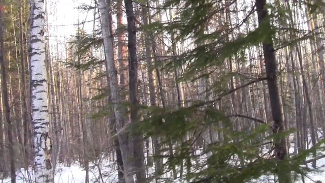 рг Плакун справляется с морозами и тропами 10. 02. 18 г. смотреть онлайн
